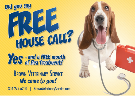 Good vet postcard offer example