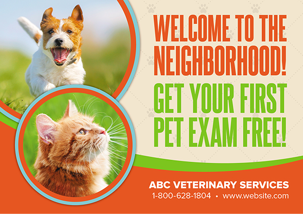 vet postcard design