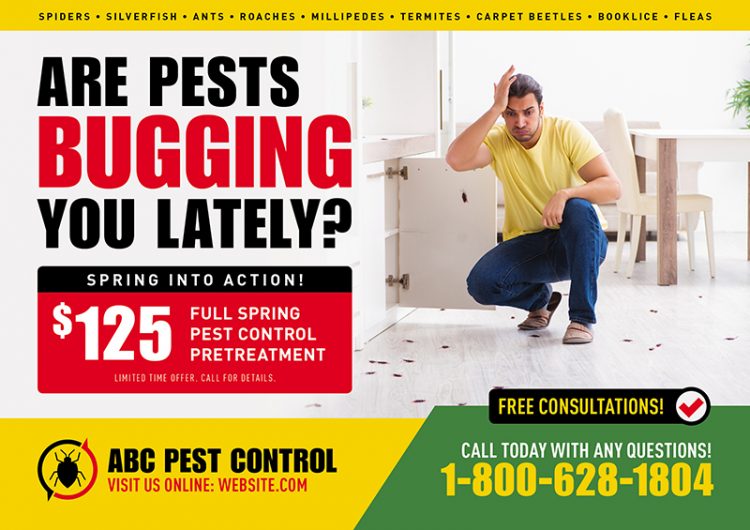 16 Brilliant Pest Control Direct Mail Postcard Advertising Examples 