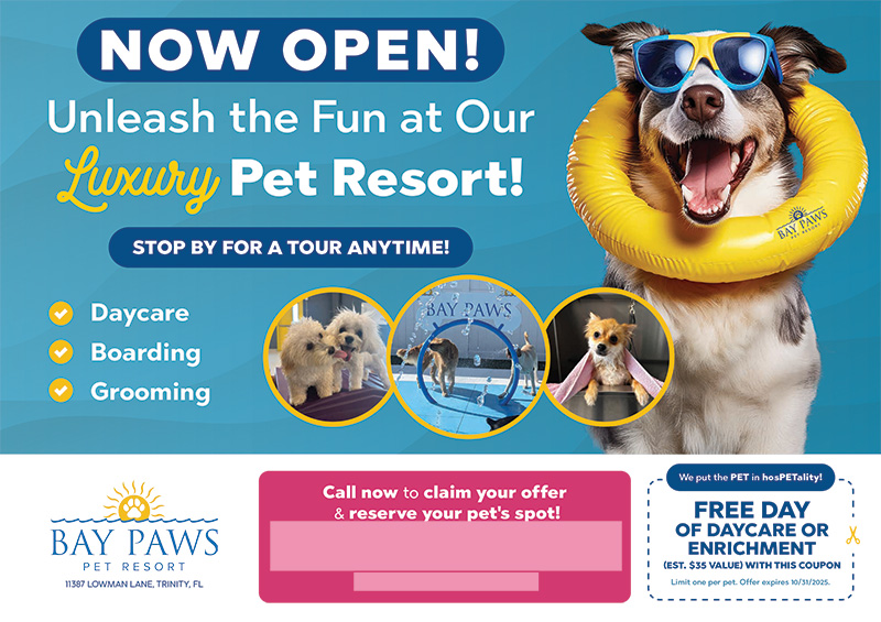 custom postcard design example